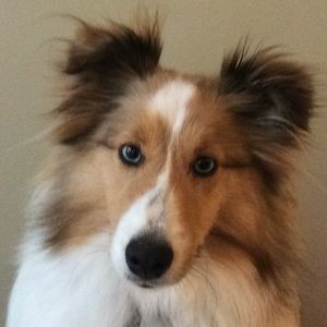 Meet your Posher, Marin